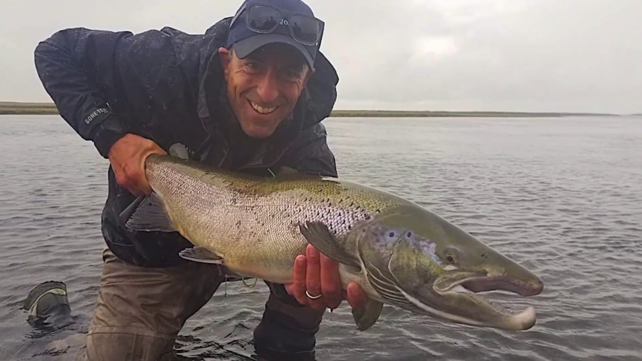 Salmon Fishing in Iceland - West Ranga, Laxa in Kjos and Grimsa Rivers - The Battles continue.......