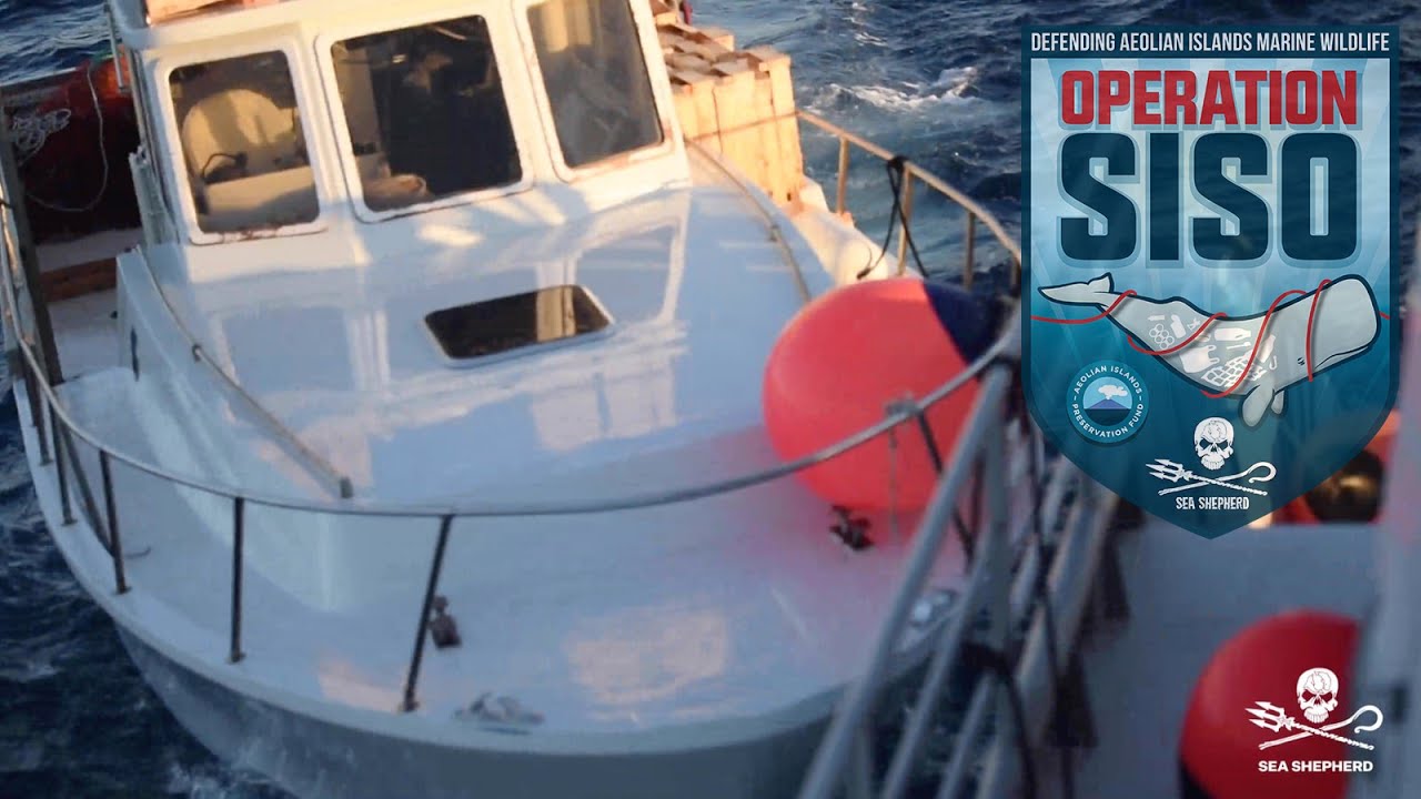 Attacco e minacce nel sud Tirreno: speronata la Conrad