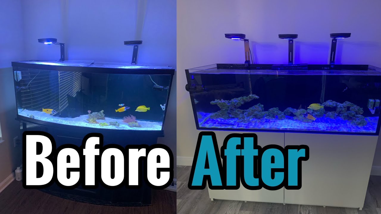 My New Red Sea Reefer 350 Setup