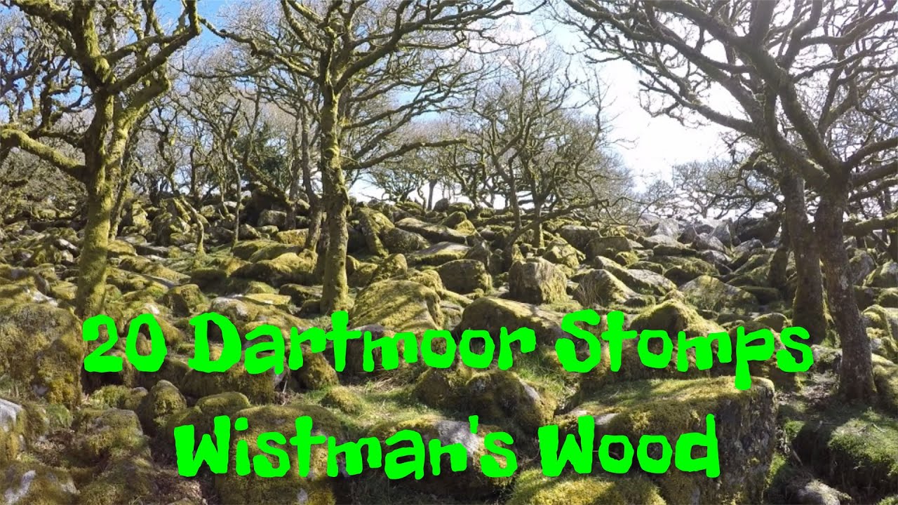 Dartmoor Stomps S02E03 Wistmans Wood