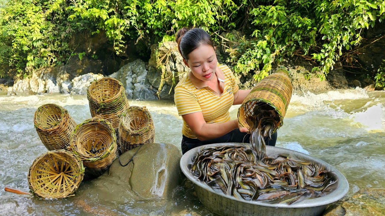 How to Weave Bamboo baskets to trap Fish - Harvest Fish in flood season Goes to the market to sell.