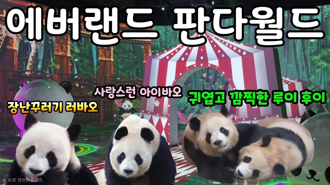 2026년 2월 25일 에버랜드 판다월드 귀엽고 깜찍한 루이후이 사랑스러운 아이바오 장난꾸러기 러바오 