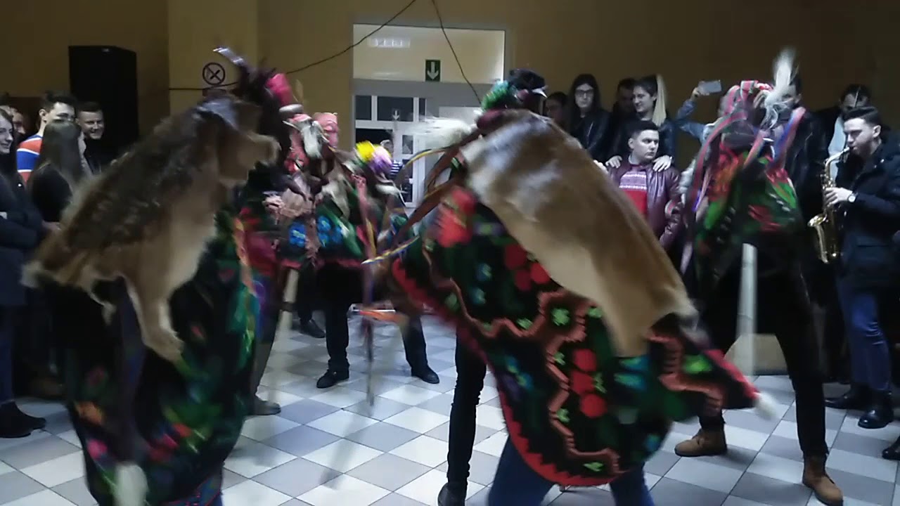 Belciugarii din Ilva Mare la bere