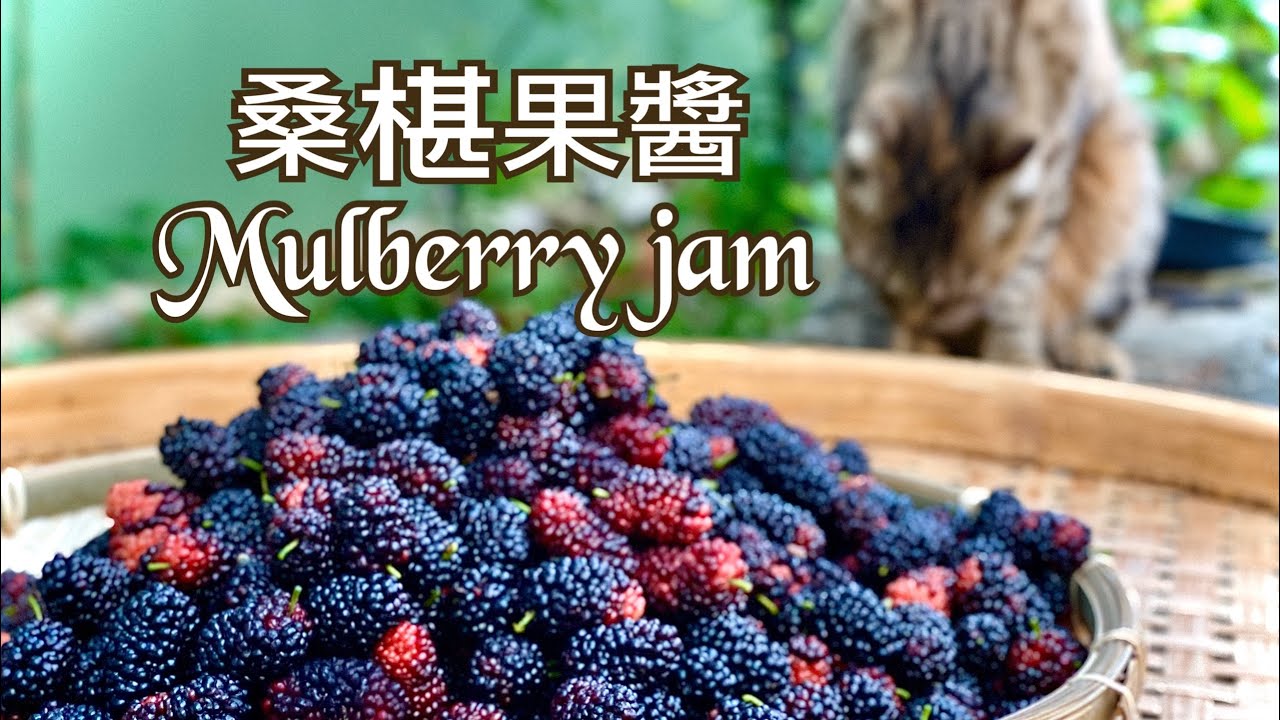 桑椹果醬Mulberry jam 烏髮、補血Eng Sub字幕