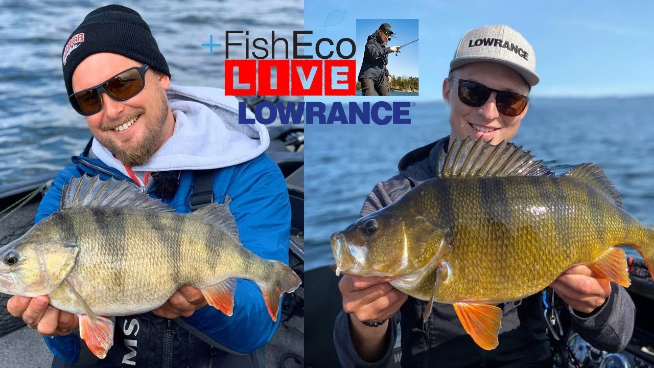 Allt om abborrfiske i Kalmarsund med Petter Eriksson och Erik Petersson - bästa fisk 1830 gram!