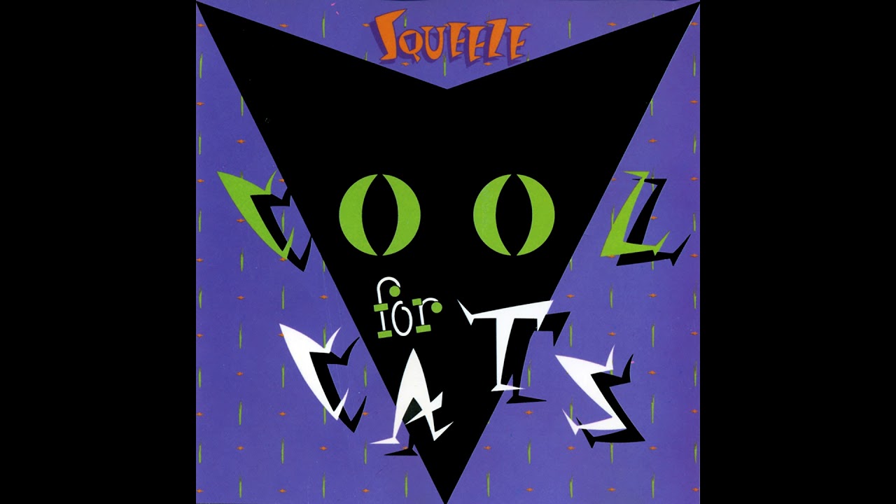 Cool For Cats