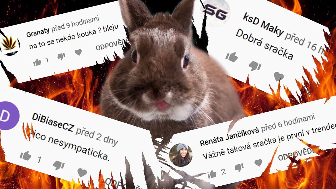 Ňuf&iacute;k reaguje na va&scaron;e Nen&aacute;vistn&eacute; Koment&aacute;ře! #1