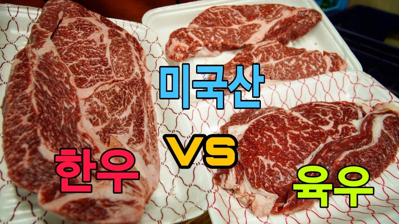 마장동 한우vs육우vs미국산 총집합! 완전히 소고기를 뒤집어 놓으셨다..