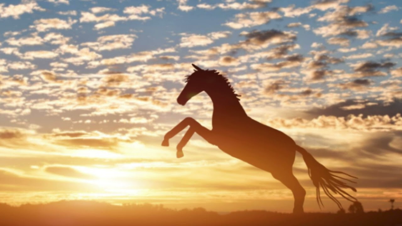 CAVALLO DI FUOCO