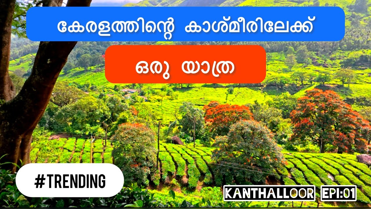 The Kashmir of Kerala | കാന്തല്ലൂർ എന്ന സ്വർഗ്ഗത്തിലേക്ക് ഒരു യാത്ര | Kanthalloor Epi 01