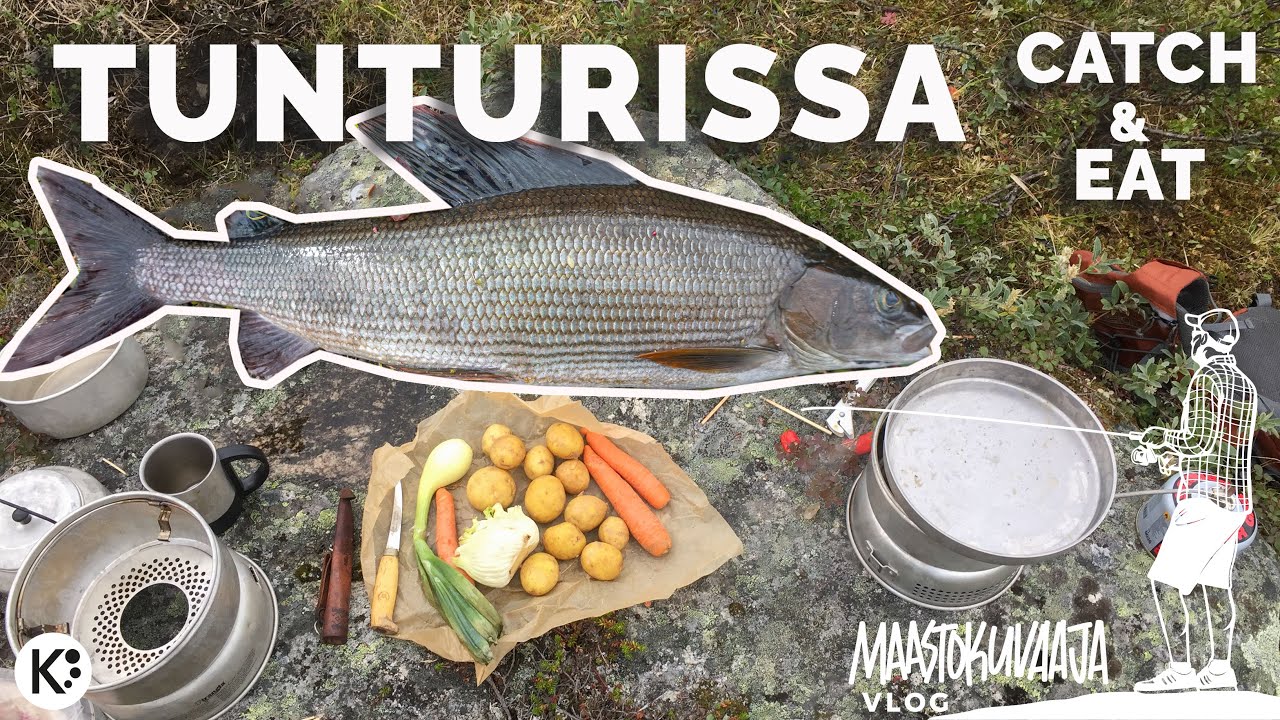 Ongitaan pari harria ja tehdään kalakeitto & graavikalaa