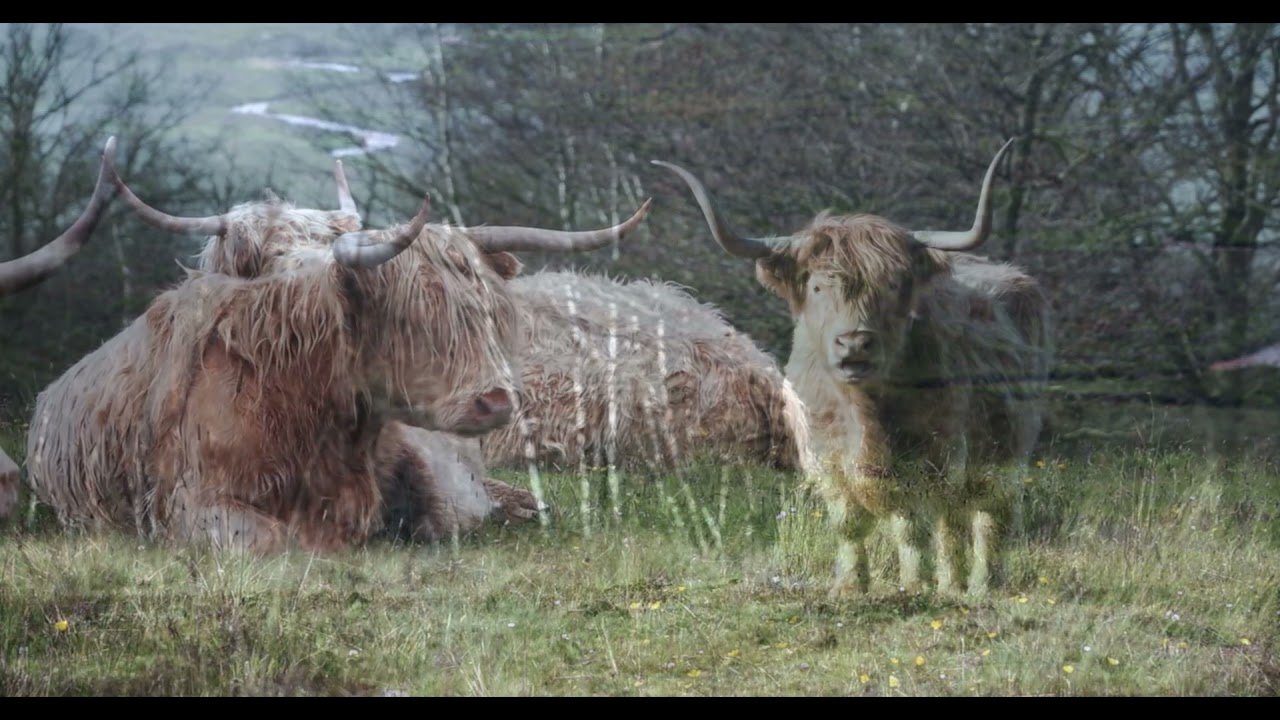 Scotland & The Isle of Skye1