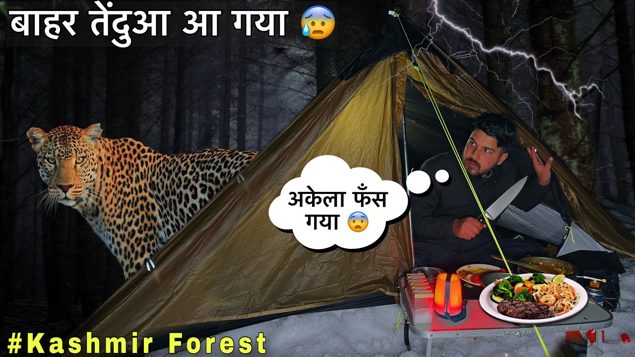 Night Camping In Dangerous Forest | खाना खाते समय तेंदुआ आ गया 😰 | Camping Gone Wrong | Camping trip