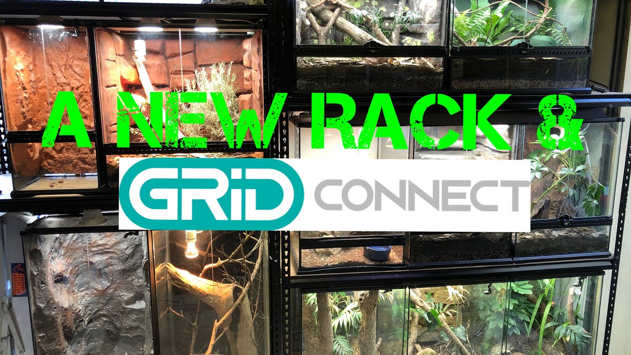 I Got Another Rack For My Exo-Terra Terrariums! PLUS GRID CONNECT POWER BOARD!