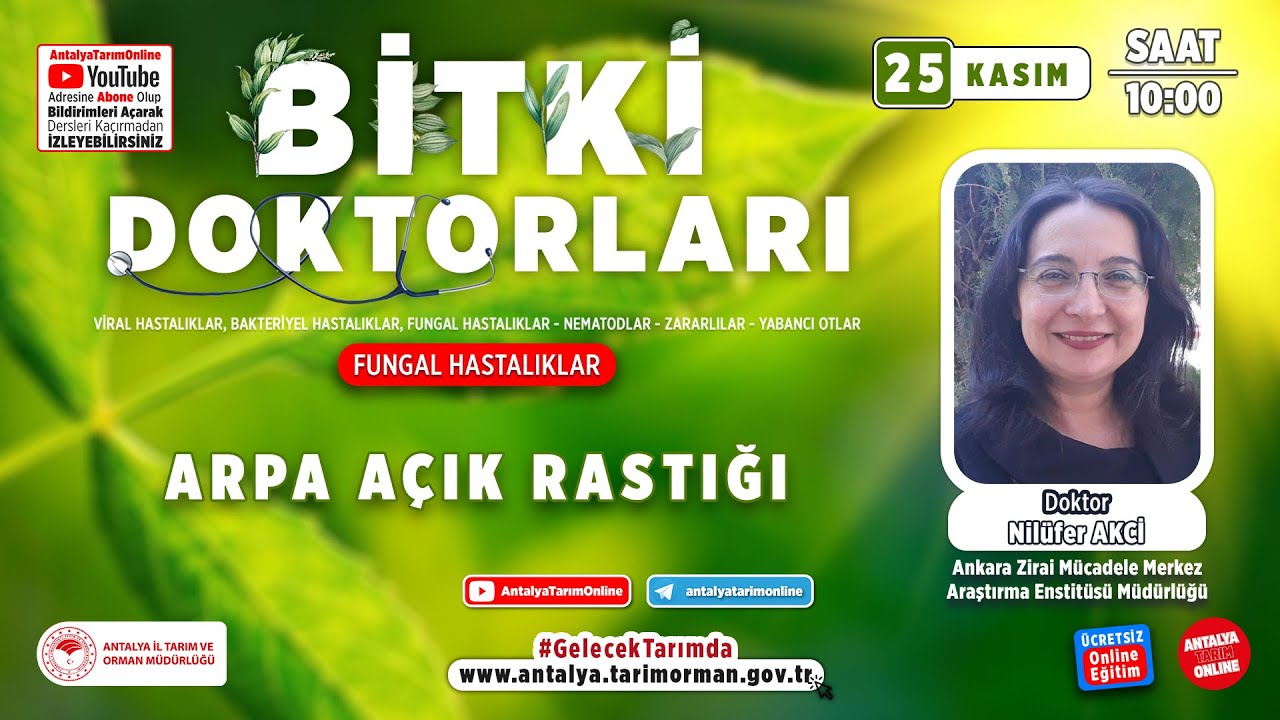 Bitki Doktorları 113-Arpa Açık Rastığı