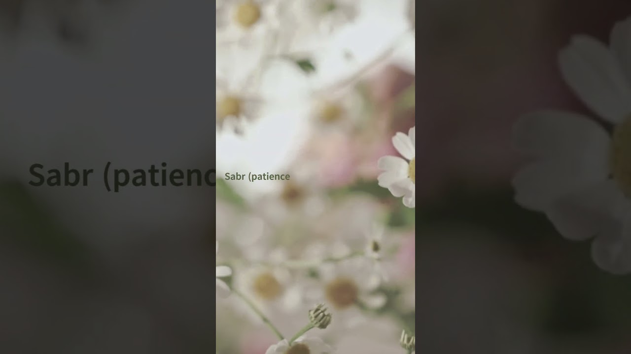 Ramadan Reminder &ndash; Day 8 🌙