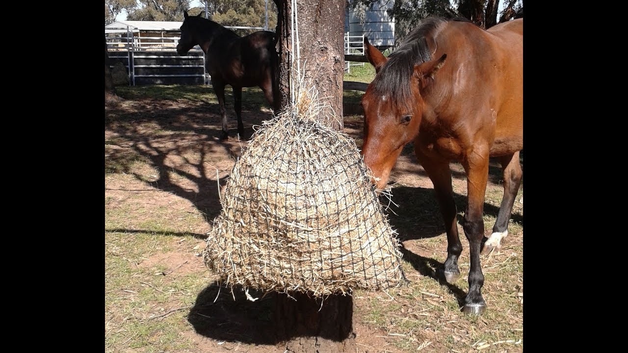 How to fill 2 Medium GutzBusta Slow Feed Hay Nets in less than a minute!