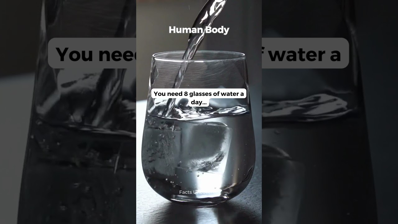 Water Wonders The Eight Glass Myth #HistoryUncovered #Facts #TimelessLegends