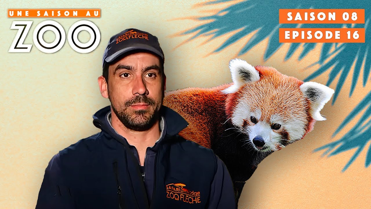 Le Zoo se Prépare au Début de la Saison Estivale! | S08EP16 | Émission Intégrale | Une Saison Au Zoo