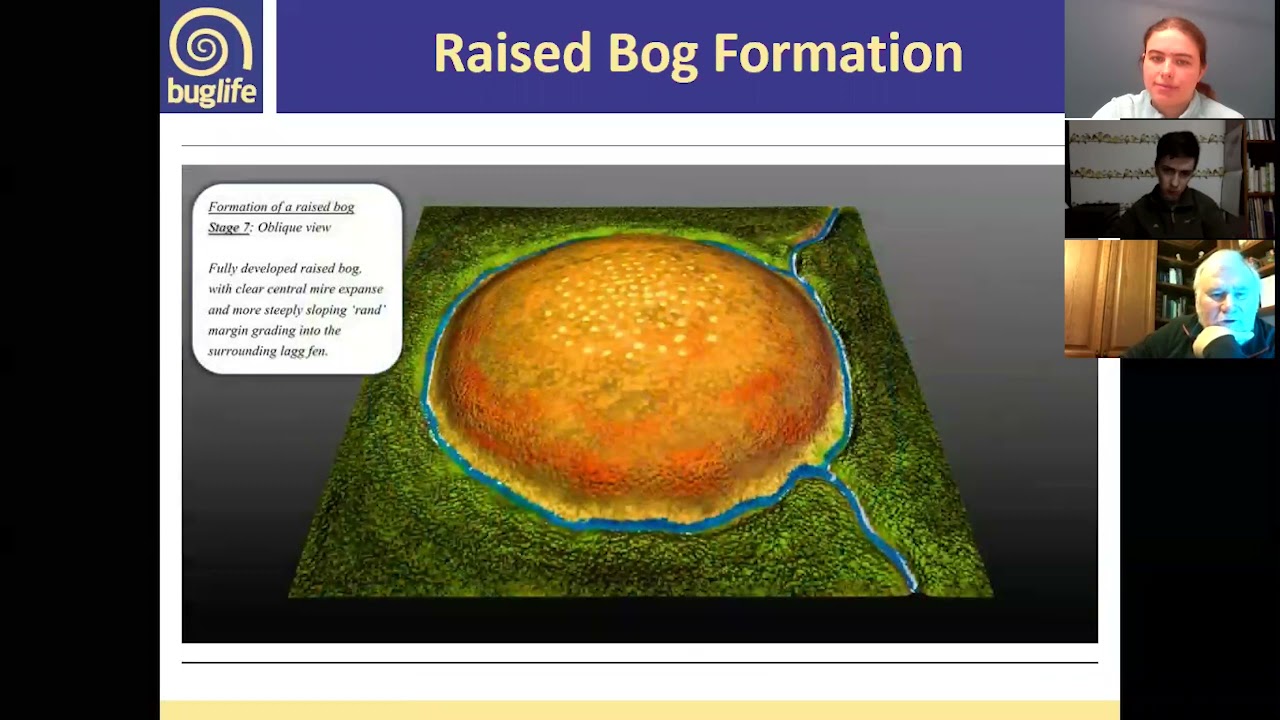 Bogs for Bugs