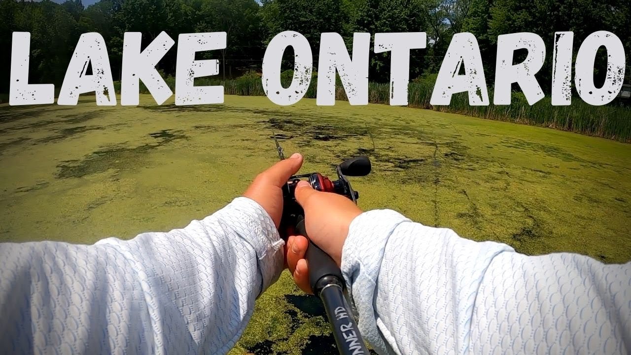 Lake Ontario LARGEMOUTH!!! (Port Bay!)