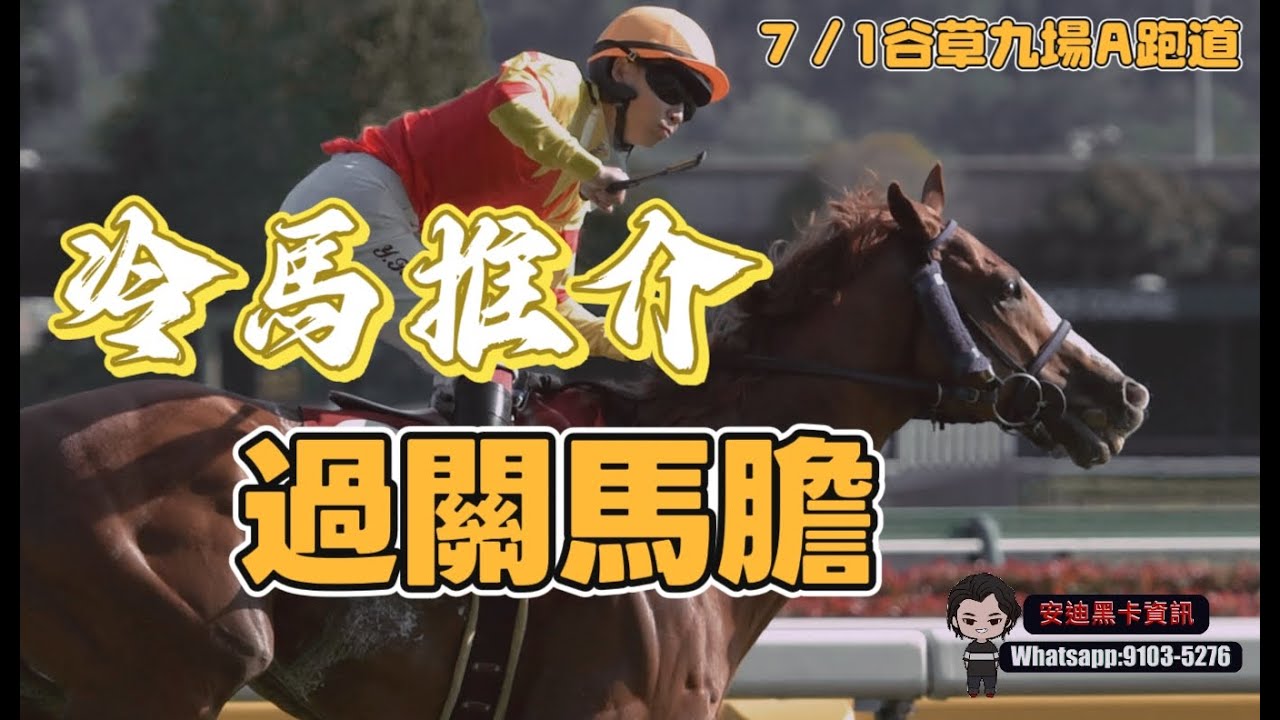 冷馬推介.過關馬膽.7/1谷草九場A跑道.