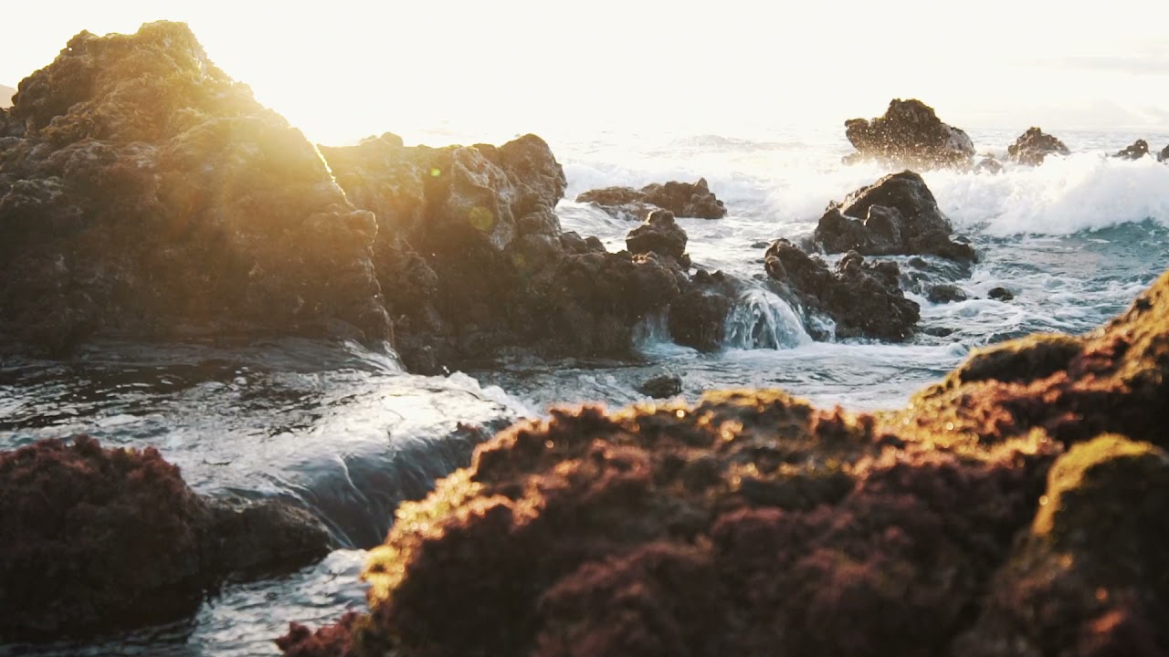 #natureplus