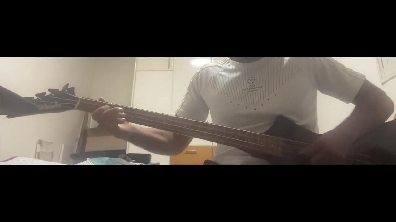 Metallica Enter the sandman bass cover 