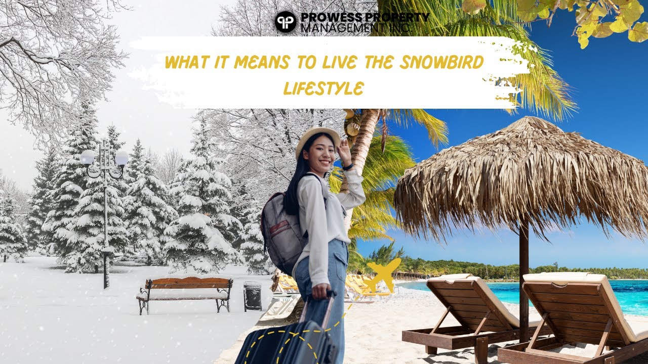 The Ultimate Snowbird Lifestyle Guide: Discover The Top Benefits And Hottest Destinations