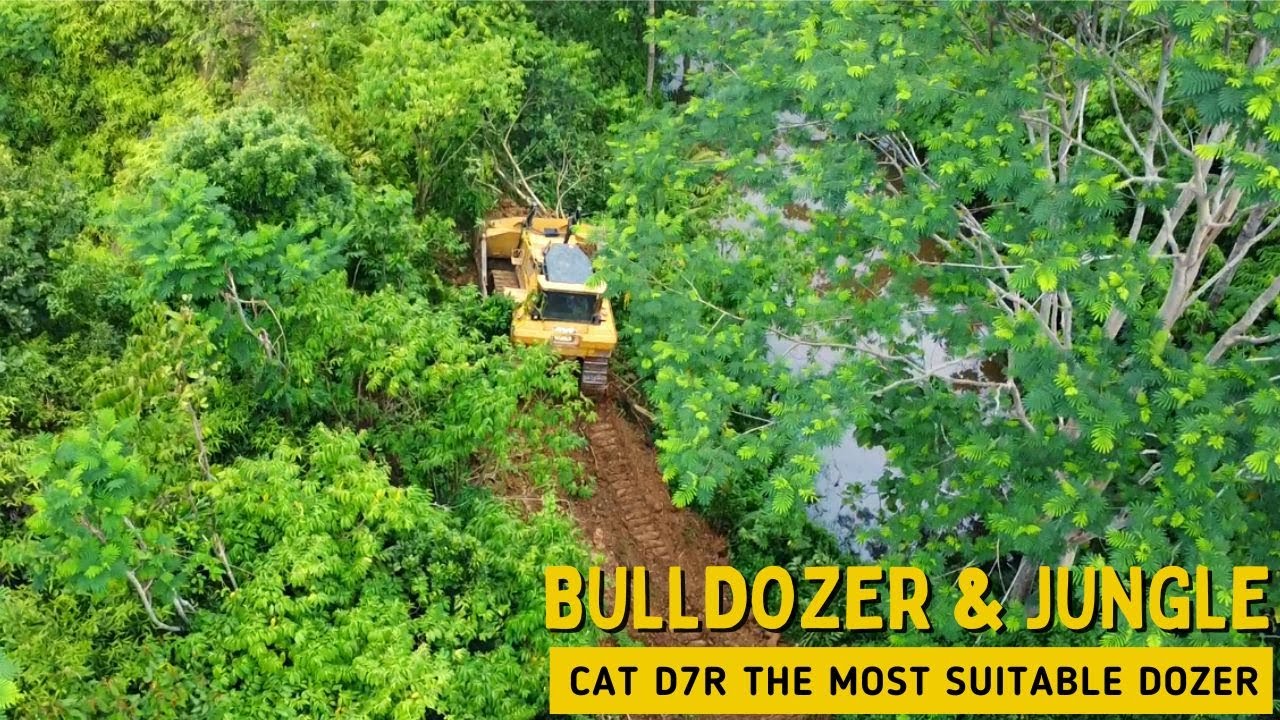 Самый эффективный способ очистки плантаций с помощью бульдозера, CAT D7R Самый подходящий бульдозер