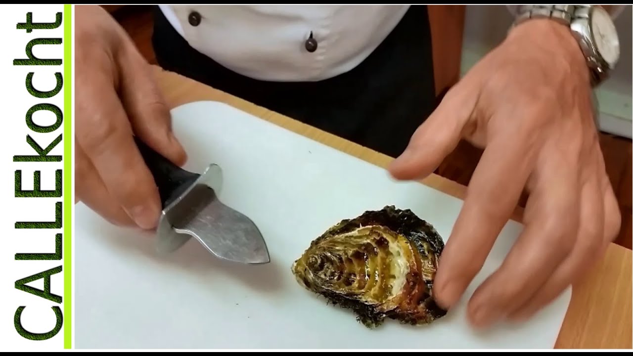 Frische Austern richtig &ouml;ffnen - So ist es richtig sicher