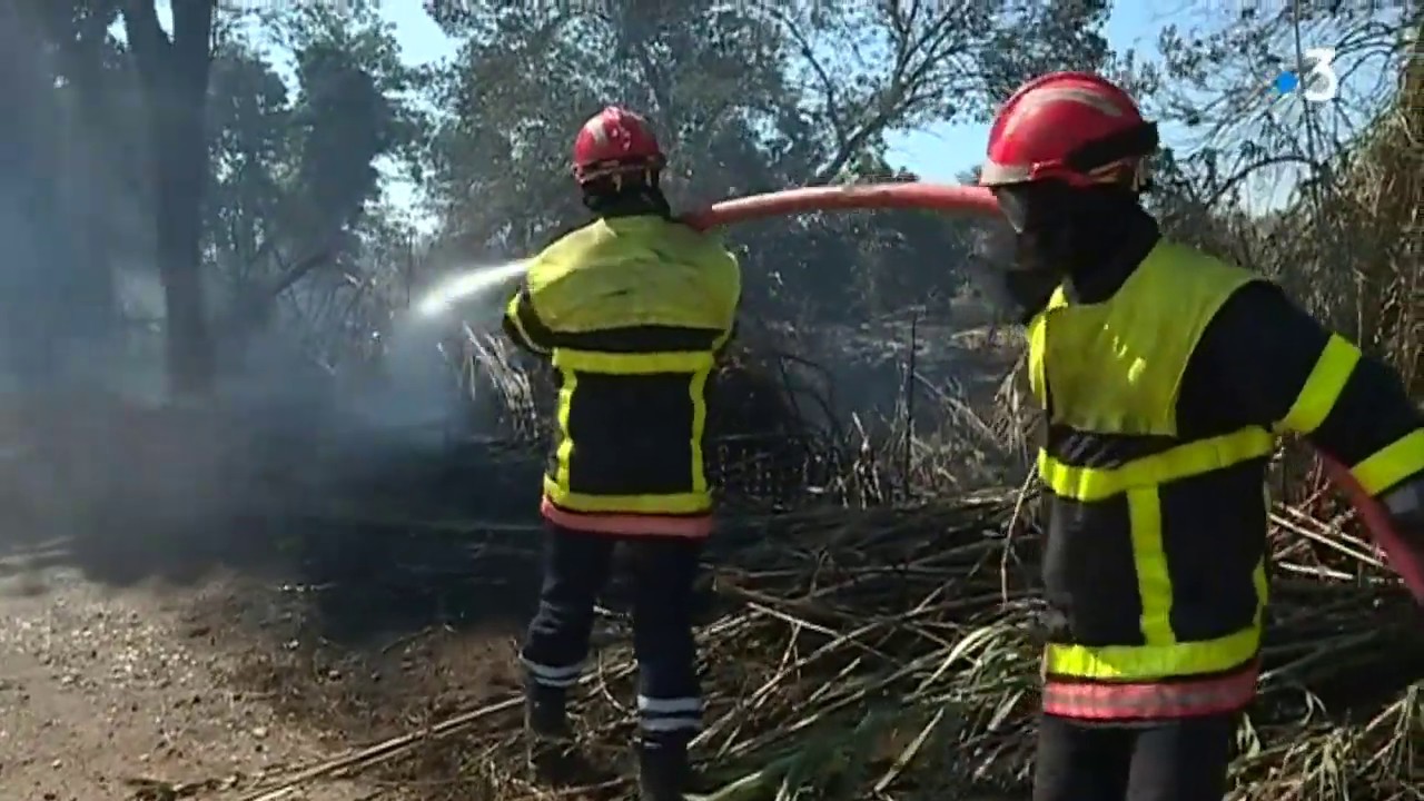 Incendie à Argelès-sur-Mer : des milliers de campeurs évacués