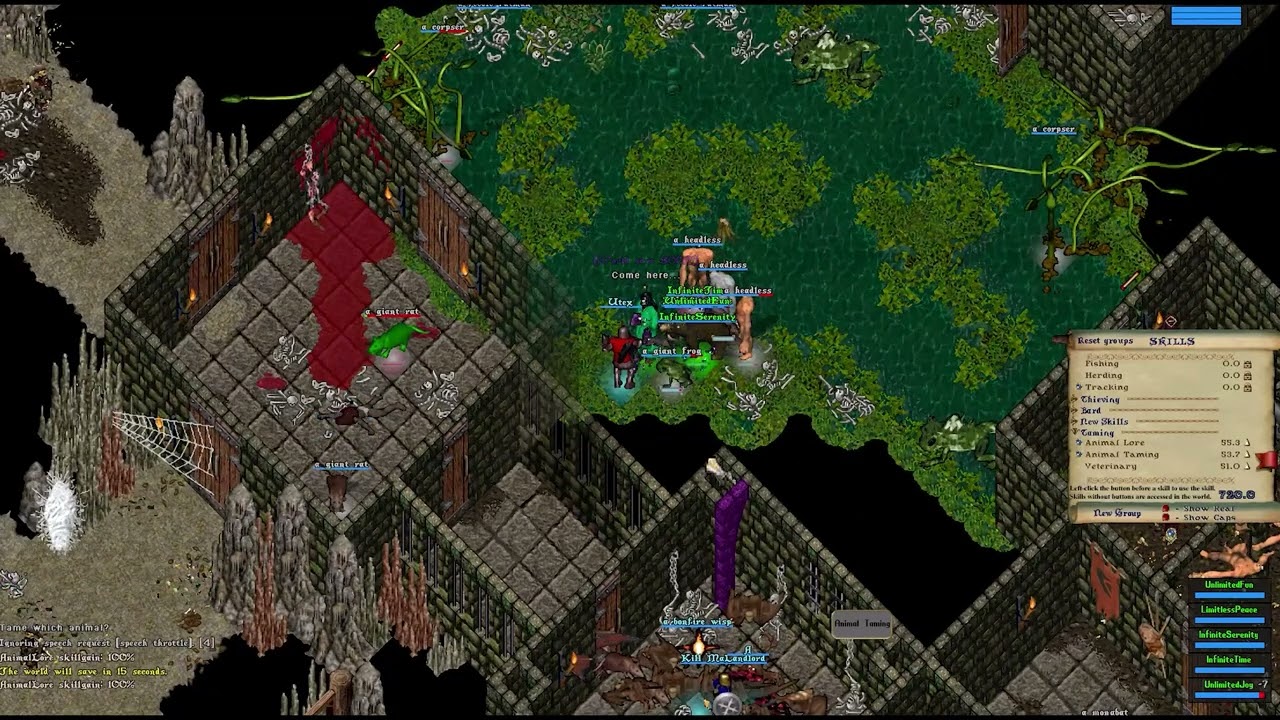 FASTEST Way to Level Taming to 80 in UO Outlands! | Ultima Online Tamer Guide