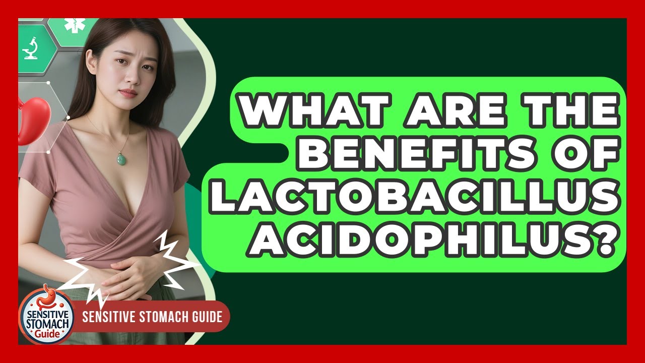 What Are The Benefits Of Lactobacillus Acidophilus? - Sensitive Stomach Guide