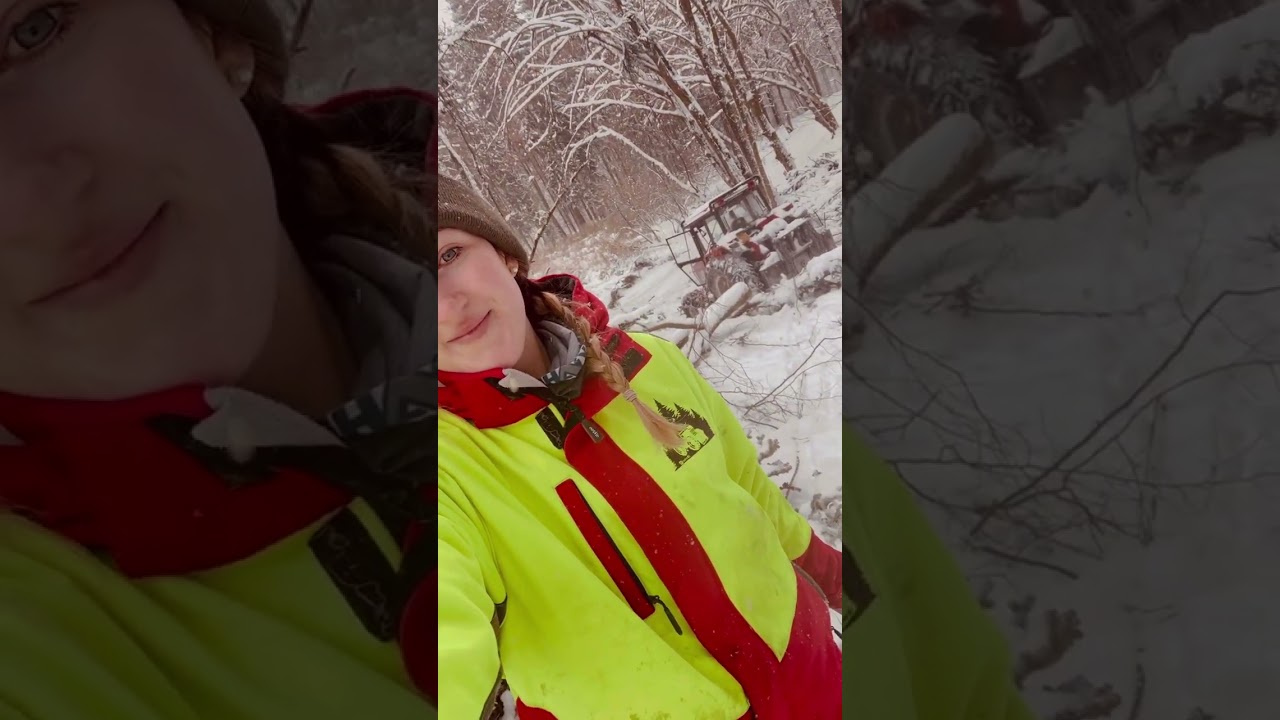 Těžba dřeva očima ženy 🌲 Zetor Crystal 8245 UKT