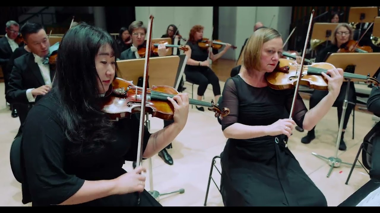 Philharmonisches Orchester - Hautnah