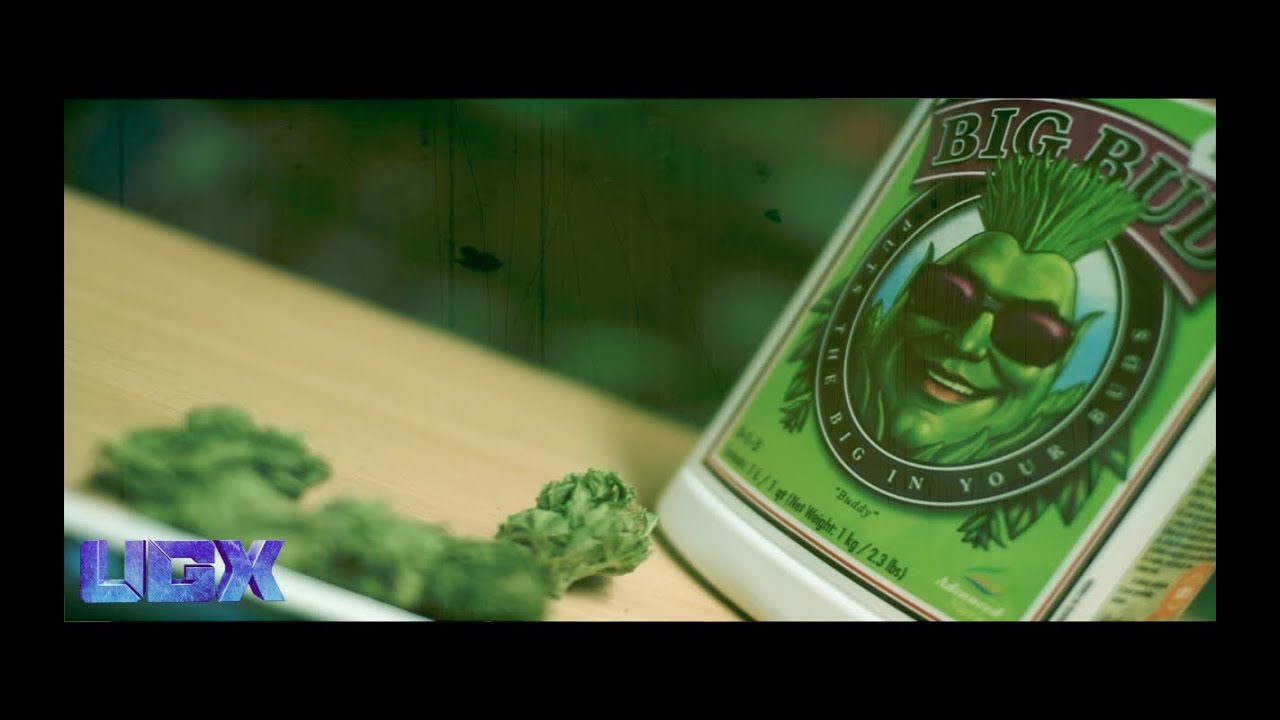 MiNDZiNDiGO - G.C.C (Music Video) UGX