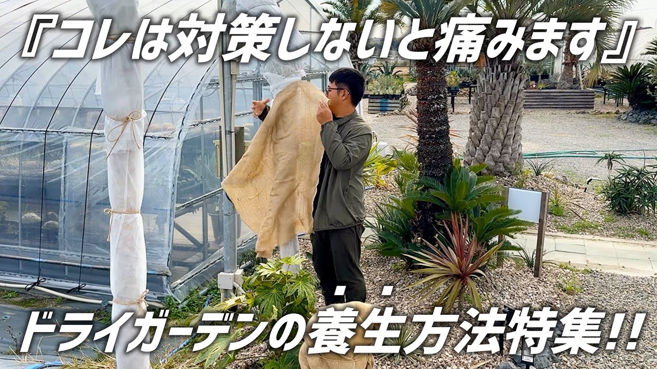 真冬の