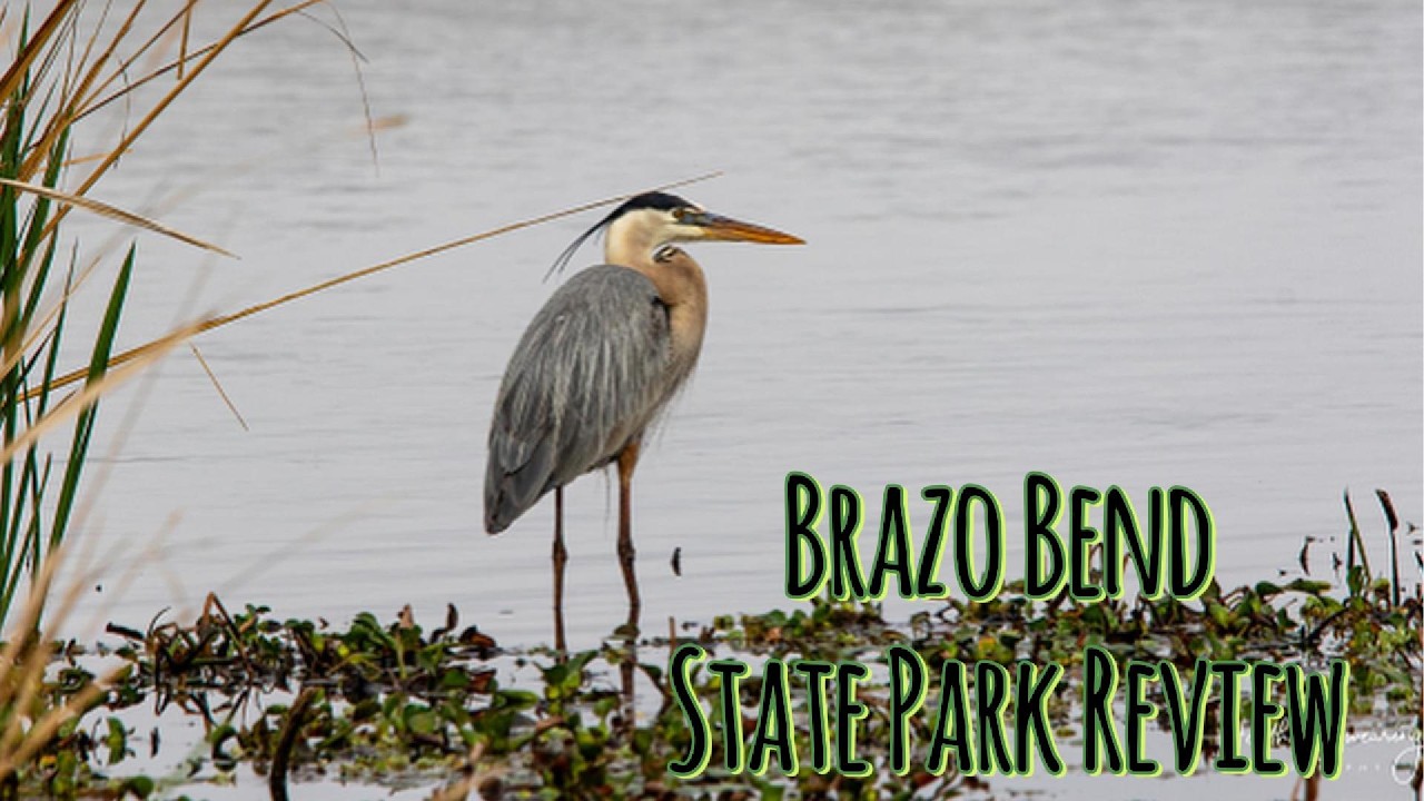 Brazo Bend State Park Review and Camping sites