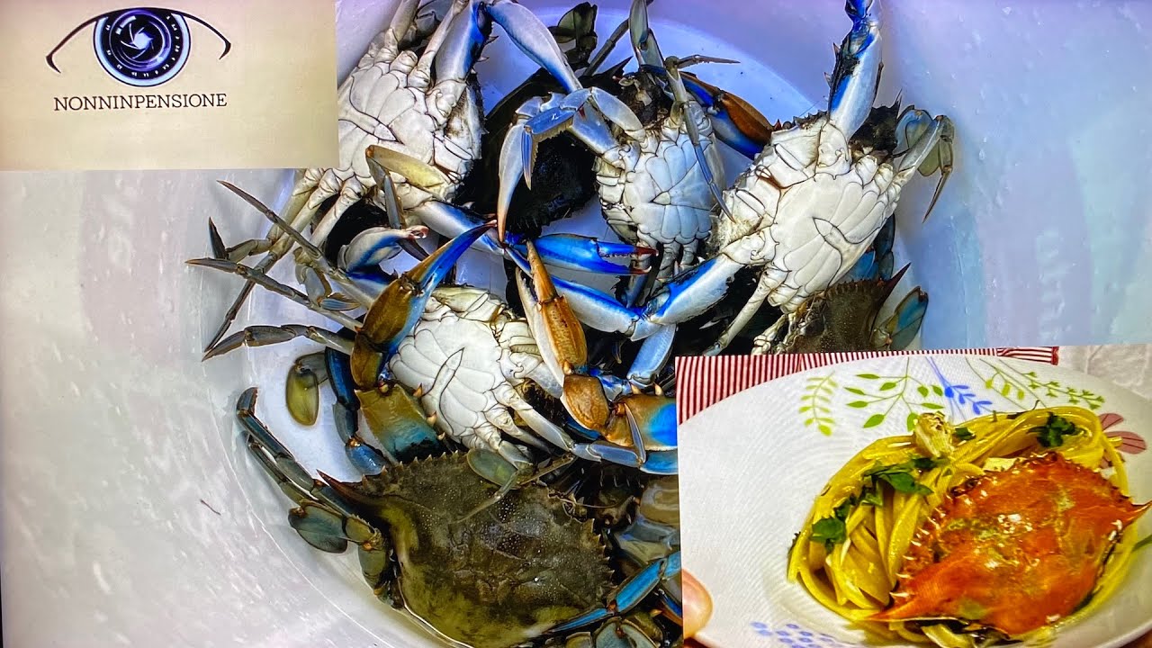 Dalla pesca del Granchio Blu Reale alle linguine