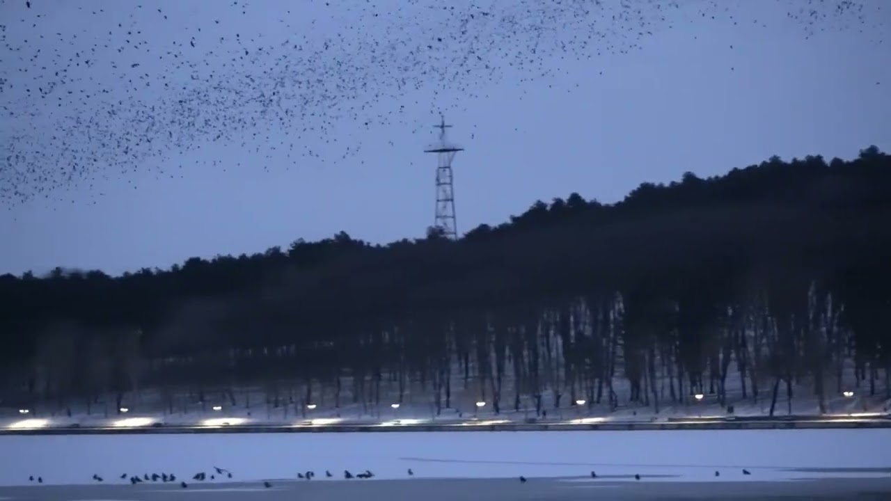 Mill Valley Lake (Lacul „Valea Morilor”) - Chișinău, Moldova