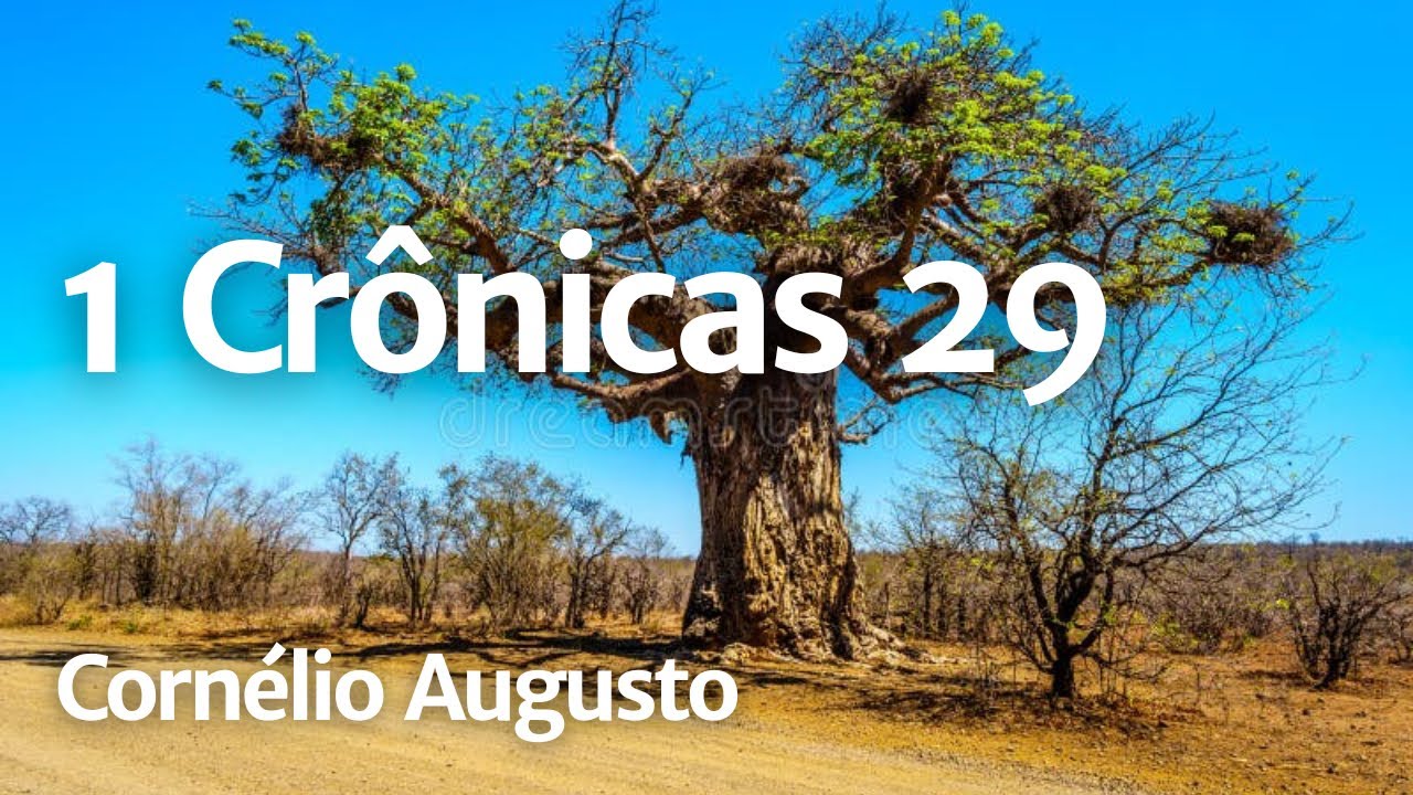 Bíblia Falada | 1 Crônicas 29