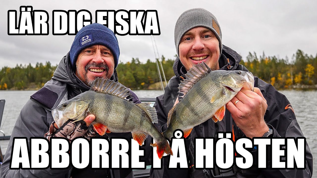Så fiskar du ABBORRE på hösten! Abborrfiske med Håkan Fransson - Del 1