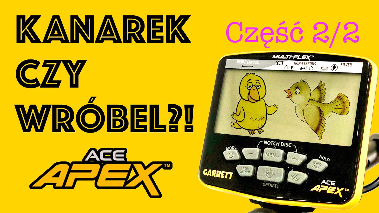 Garrett APEX Kanarek czy Wróbel cz.2 ?!