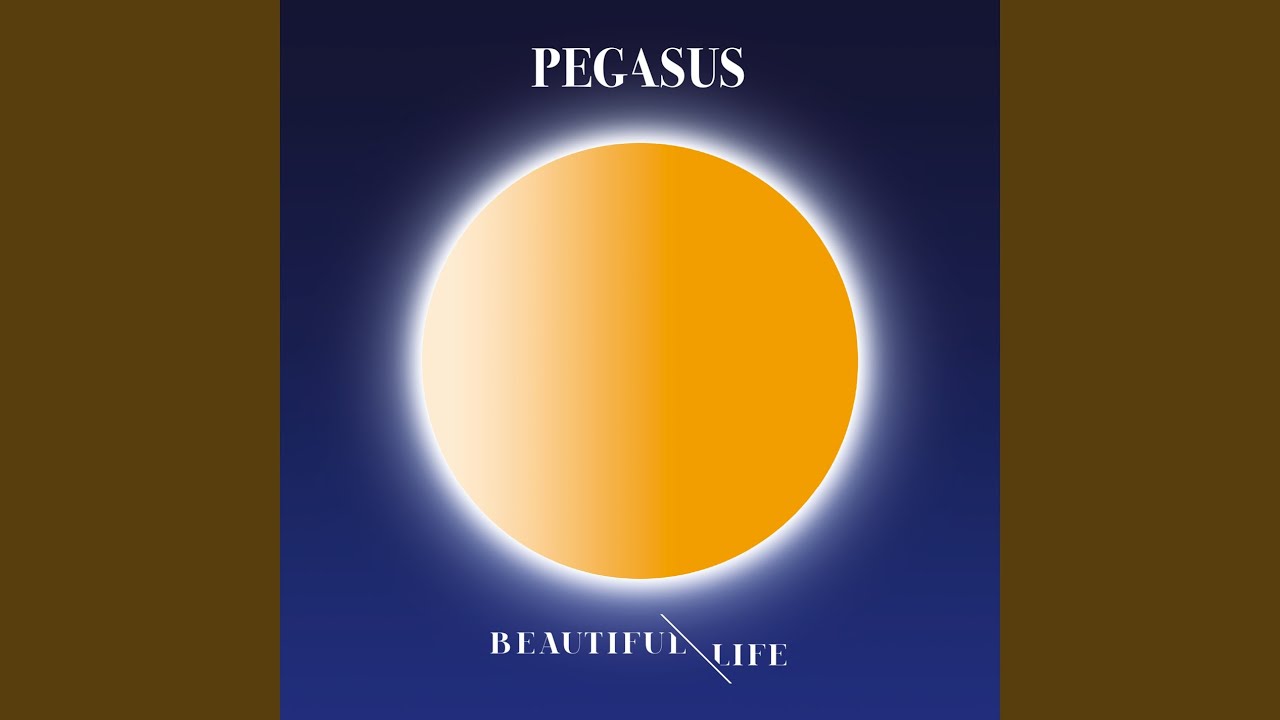 Beautiful Life