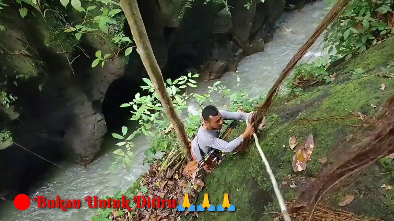 Mancing Ikan Jurung Di Spot Ekstrim Kabupaten Simalungun||Catch And Release Masheer Fish