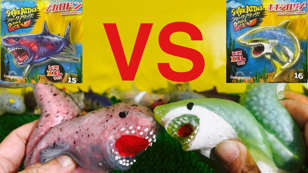 【対決動画】シャークアタック&Ｃｏ（アンドコ）巨大レアシャーク！メガロドンVSホホジロザメ【DeAgostini】