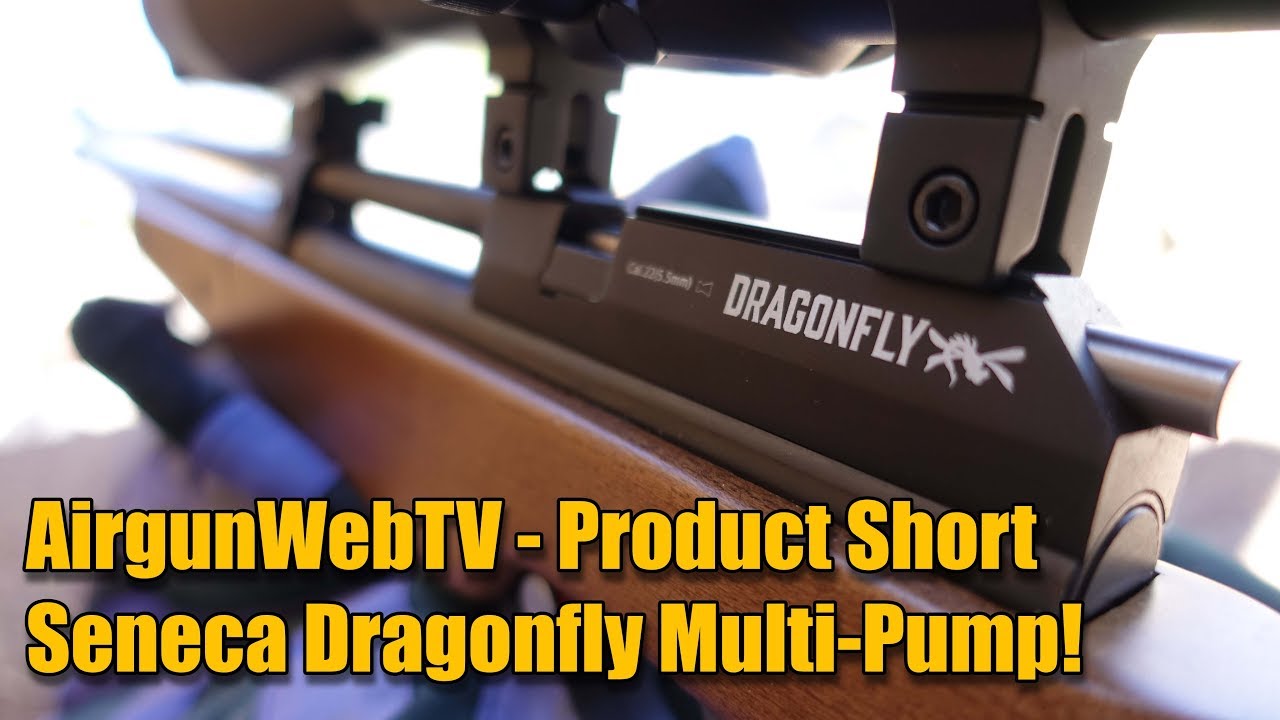 Seneca Dragonfly .22 - A New Multi-Shot, Bolt Action, Multi-pump for 2018! - AirgunWebTV Short
