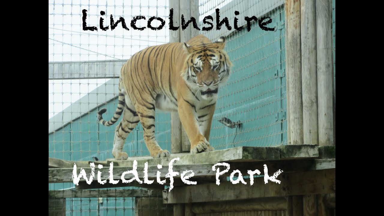 Lincolnshire wildlife park