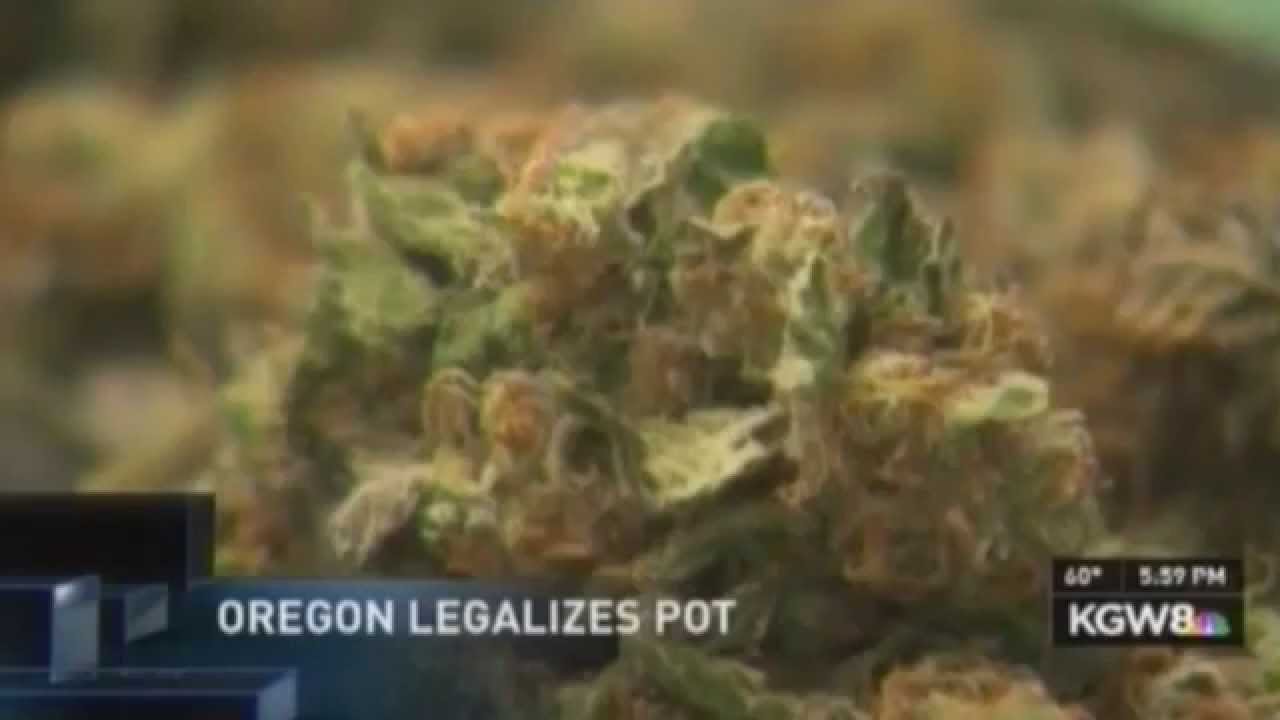 Oregon Measure 91 Election Coverage - KGW